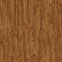Vinylová podlaha lepená vzorník - Expona Commercial 4091 Vintage Timber