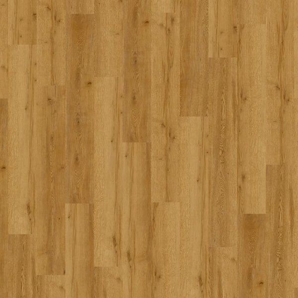 Expona Domestic 5834 Golden Valley Oak