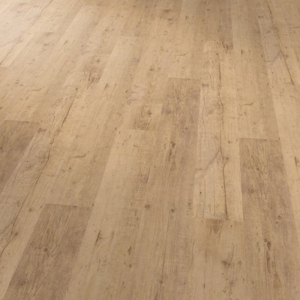 Expona Commercial 4078 Dub pobřežní