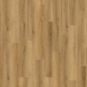 Projectline Acoustic Click 55221 Dub Symfonie