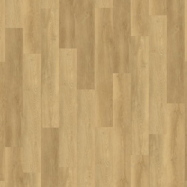 Expona Domestic 5875 Coastal Oak