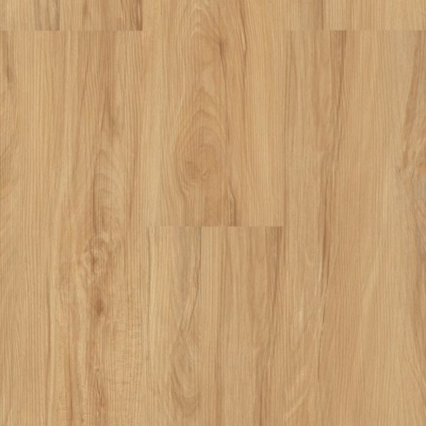 Aquaplus Click 9560 Buk vita