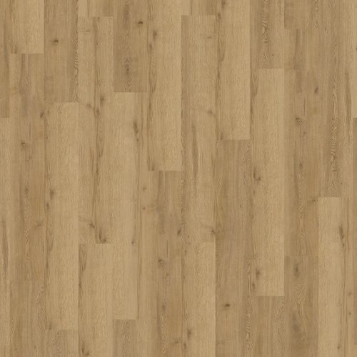 Expona Domestic 5837 Manor Oak
