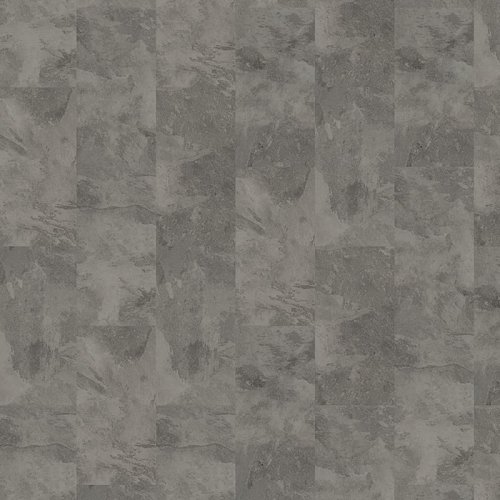 Expona Domestic 5863 Silverline Slate