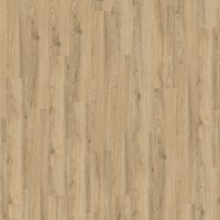 Conceptline Acoustic Click 30125 Dub Neapol