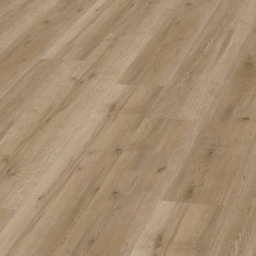 Expona Domestic 5837 Manor Oak