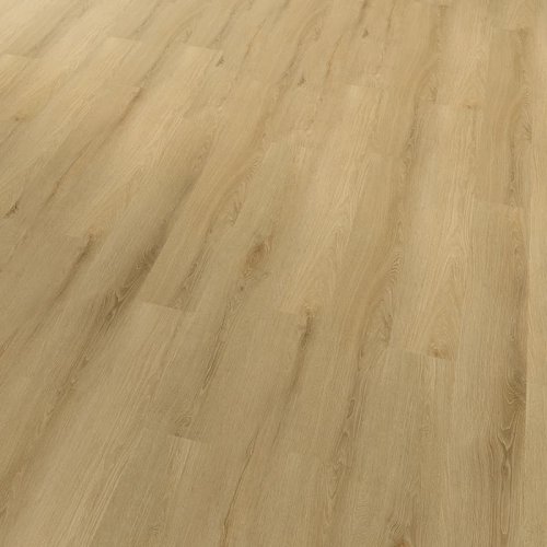 Projectline Acoustic Click 55225 Dub Lucern