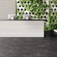 Expona Clic 19 dB 9082 Natura Slate