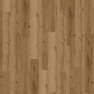 Conceptline Acoustic Click 30135 Dub Valencie