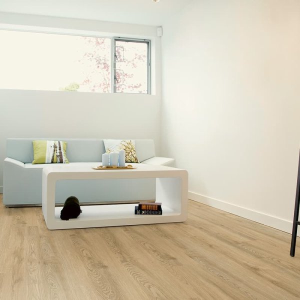 Conceptline Acoustic Click 30125 Dub Neapol