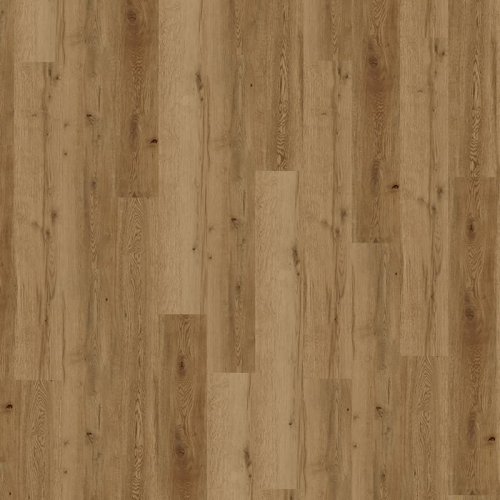 Conceptline Acoustic Click 30135 Dub Valencie