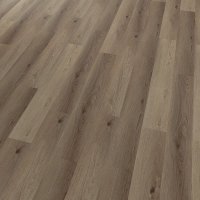 Conceptline Acoustic Click 30136 Dub Florencie