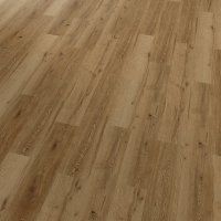 Conceptline Acoustic Click 30135 Dub Valencie