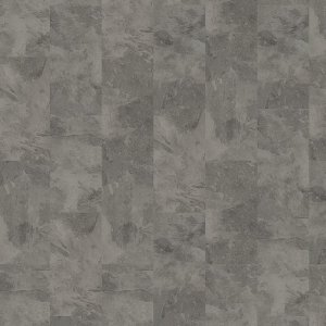 Expona Domestic 5863 Silverline Slate