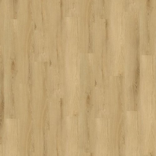 Projectline Acoustic Click 55225 Dub Lucern