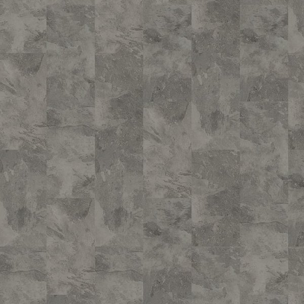 Expona Domestic 5863 Silverline Slate