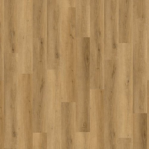 Projectline 55221 Dub Symfonie