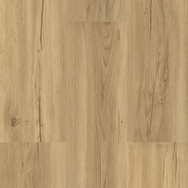 Aquaplus Click 9522 Dub podzimní krémový