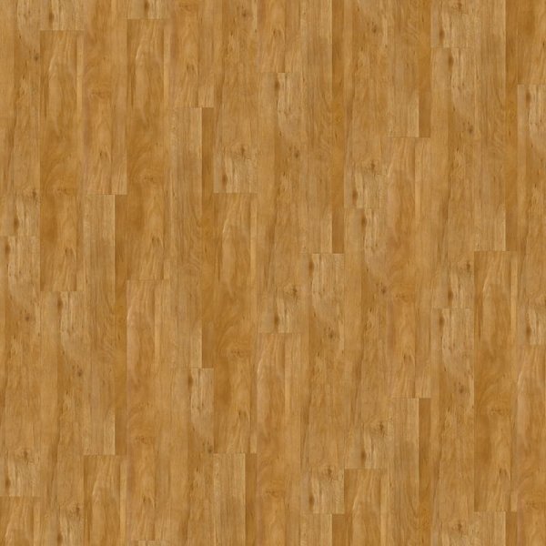 Expona Domestic 5953 Wild Oak