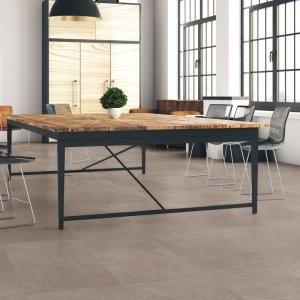 Expona Commercial 5035 Tan Cement