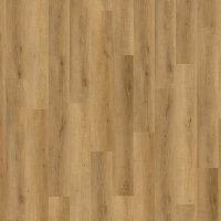 Projectline Acoustic Click 55221 Dub Symfonie
