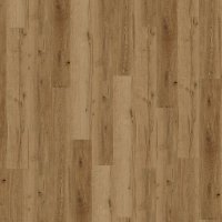 Conceptline Acoustic Click 30135 Dub Valencie
