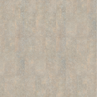 Vinylová podlaha lepená vzorník - Expona Commercial 5055 Raw Cement